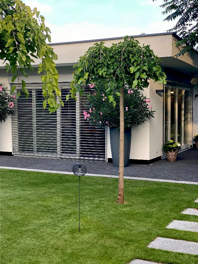 Okna drewniane w letnim domku ogrodowym