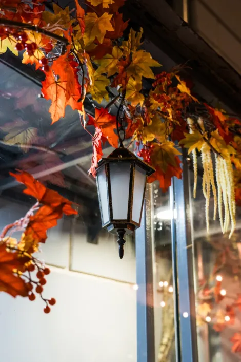 okno drewniane jesienią