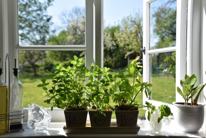 Ekologiczne okna drewniane